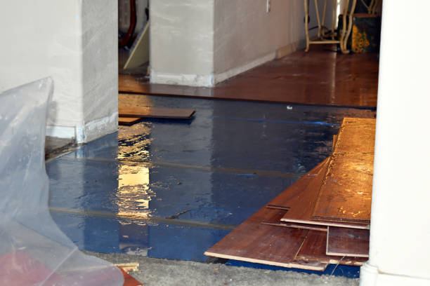 Professional Burst Pipe Cleanup technician working in Bayonne, NJ